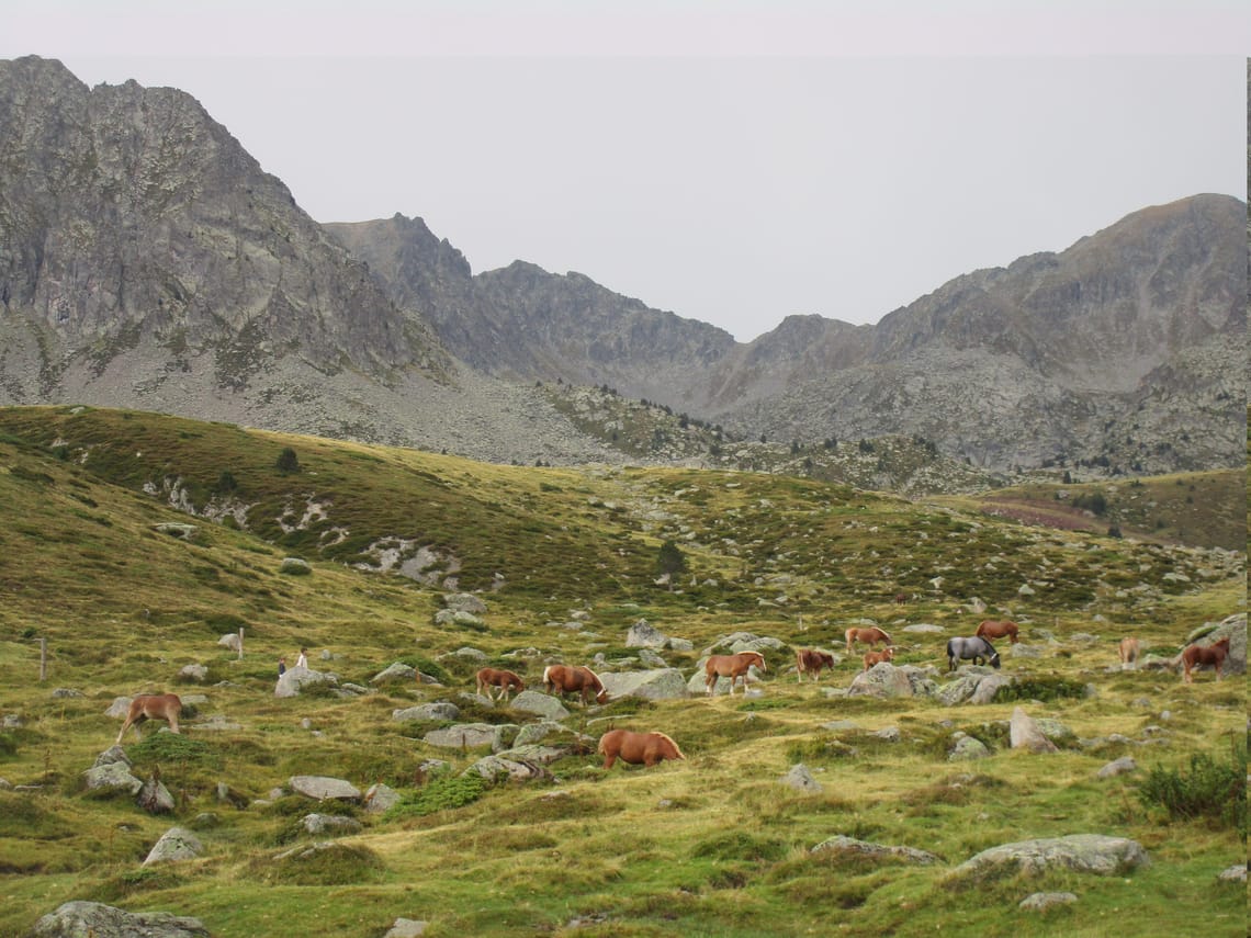 France + Andorra (2022)