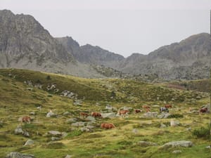 France + Andorra (2022)